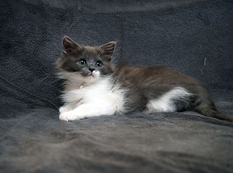 Quiana am 05.07.2025